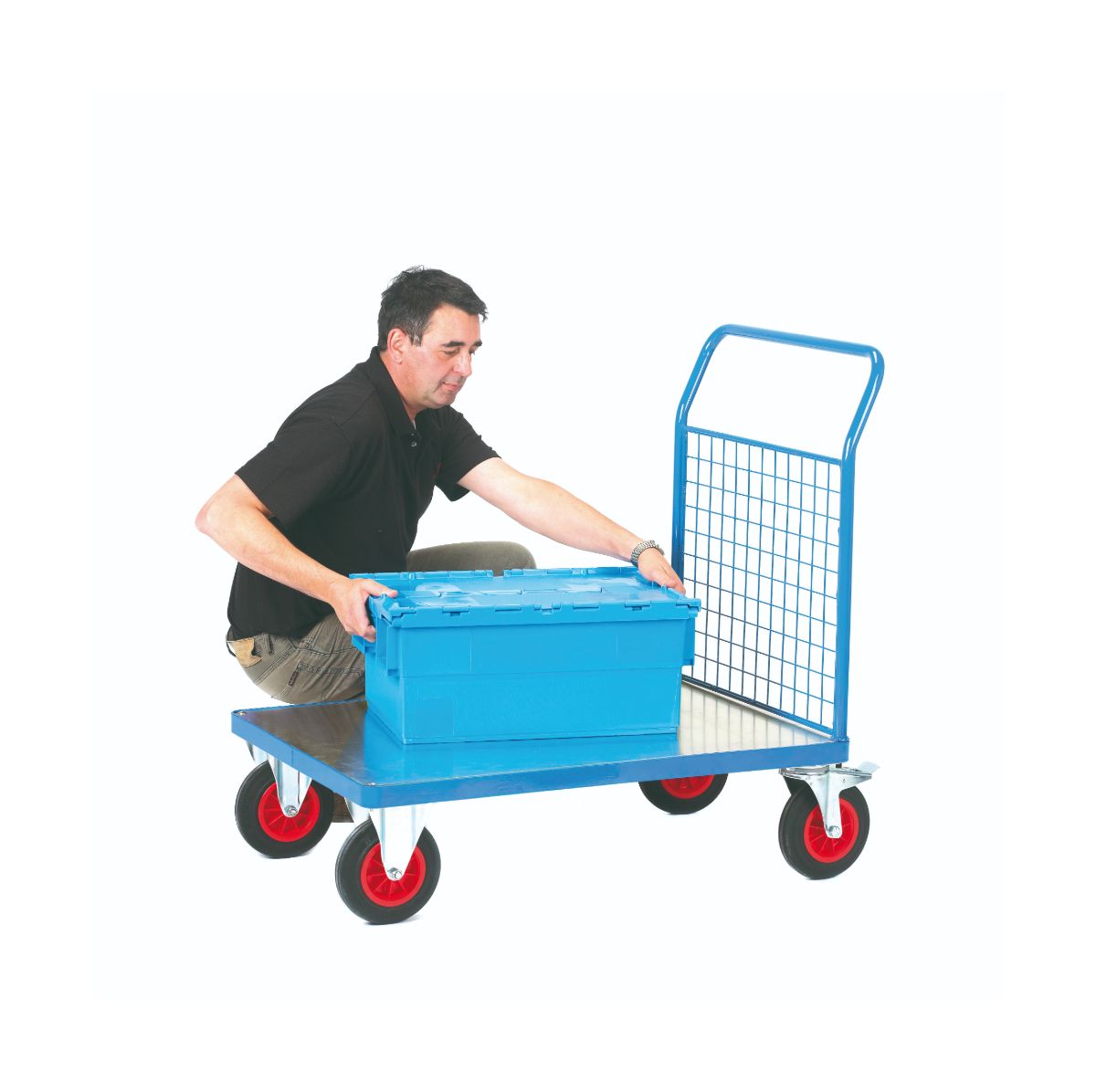 Galvanised Metal Platform Truck - Single Mesh End