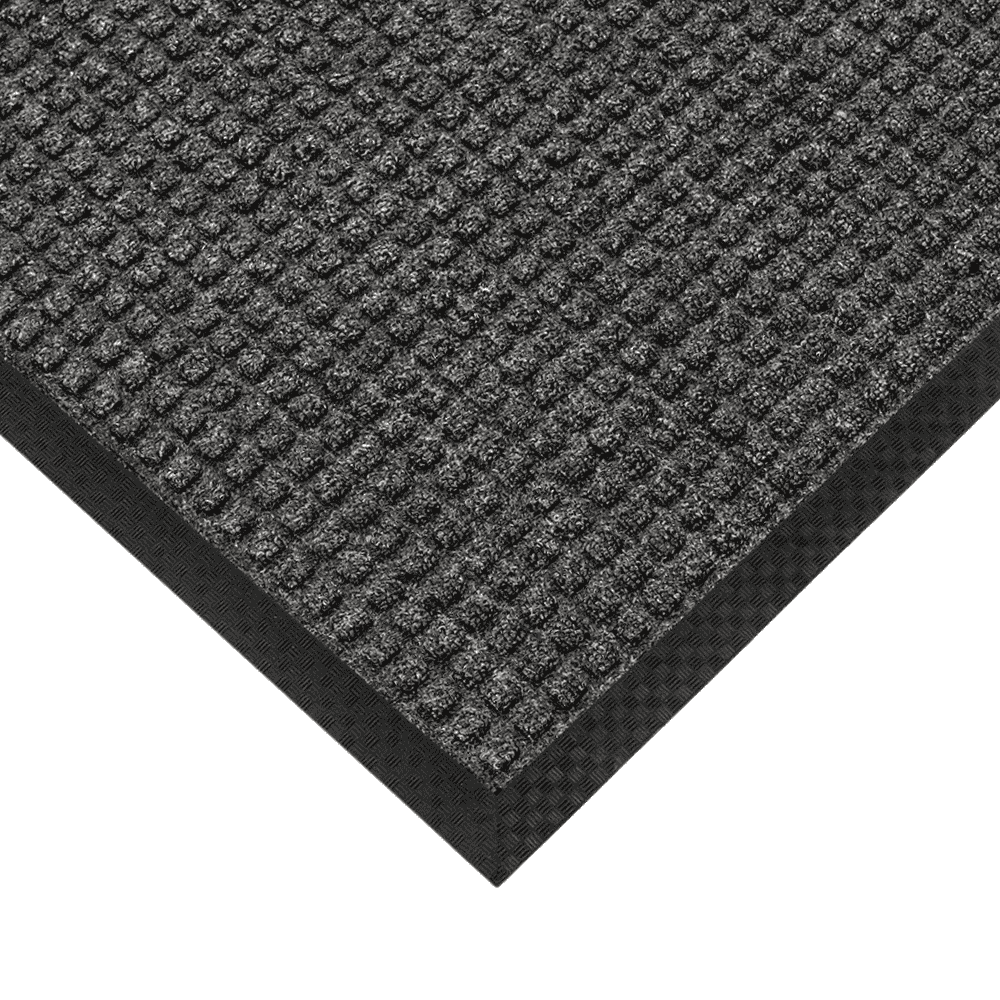 Ultra-Absorbent School Entrance Mat